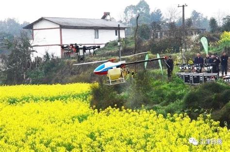 江津農民開飛機灑農藥，網友直呼「農村我回不去了」 每日頭條