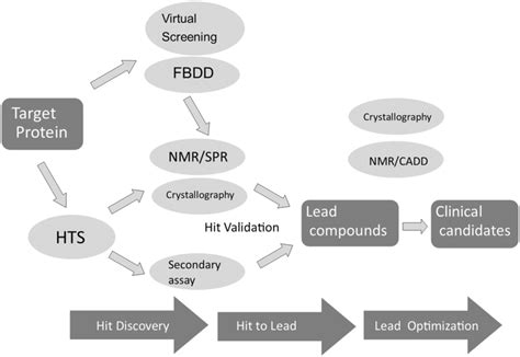 Simplified Flowcharts Regarding Small Molecule Drug Discovery Focusing Download Scientific