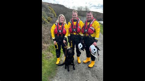 St Davids Rnli Rescue Rabbit Chasing Dog Rnli