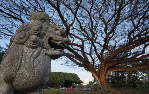 Hilo Driving Tour - Paradise in Hawaii