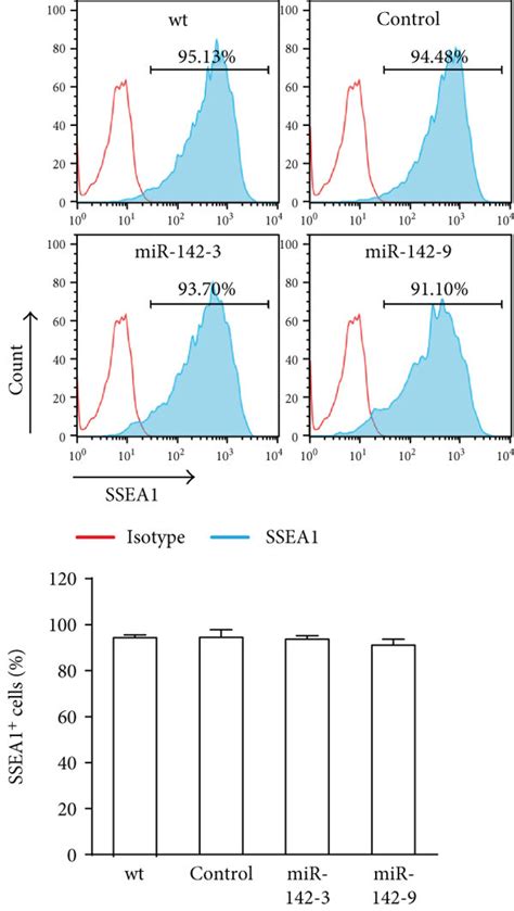 MiR 142 3p Overexpression Does Not Affect The Self Renewal Of ESCs A