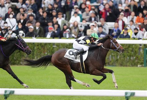 岩田望来騎手が京都7rで2年連続2度目のjra年間100勝「すごくうれしいです」 Umatoku 馬トク