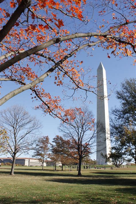 DC Scorpio Blog: Washington DC Fall Foliage 2016