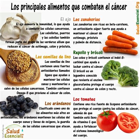 Dieta Preventiva contra el Cáncer