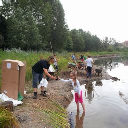 Flifis Ferienbetreuung Und Renatuierung Der Flachwasserzone Am Petri