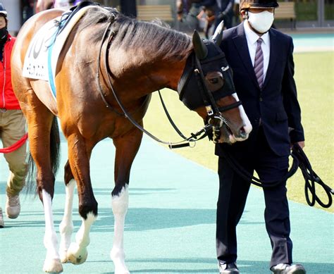 2月12日東京競馬☆7r☆3歳1勝クラス★芝1400★バーミリオンクリフ★放牧中 公式：黒澤ひかりのキラキラ日記～magic Kiss Lovers Only～