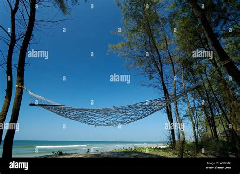 Hammock At Tarkarli Beach Malvan Konkan Maharashtra India Stock