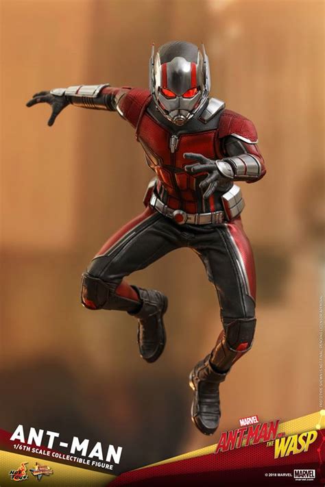 Hot Toys 1 6th Scale Ant Man Collectible Figure Ant Man And The Wasp Rio X Teir