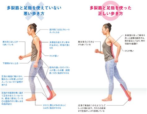 正しい歩き方で「体」が変わる！ 自由形式