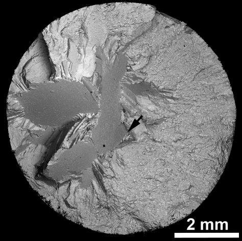 Fracture Surface With Numerous Facets Fatigue Fracture Initiation Site