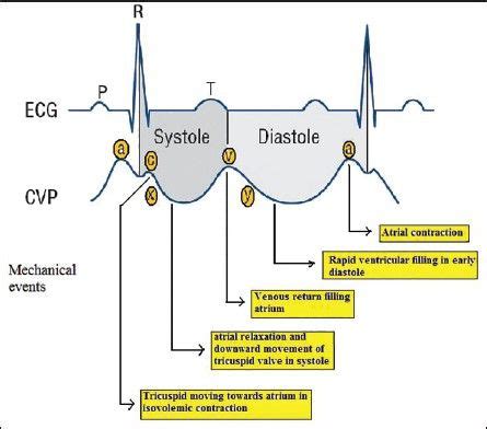 View Image | Nursing school survival, Icu nursing, Medical school studying