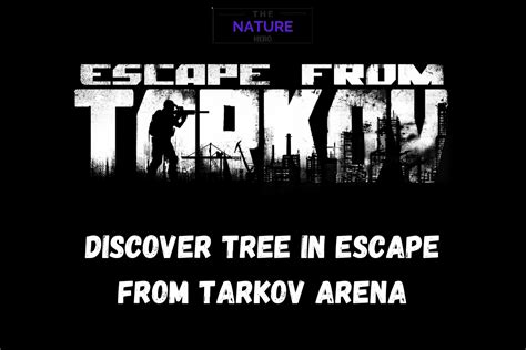 Discover Tree In Escape From Tarkov Arena - The Nature Hero