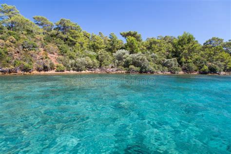 Aegean Coast Stock Photo Image Of Green Island Ocean 43500910