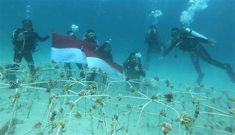 FOTO Pertamina Peduli Pelestarian Terumbu Karang Di Kepulauan Togean