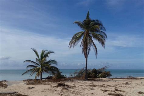 La industria turística de Gran Bahama comienza a reconstruirse después