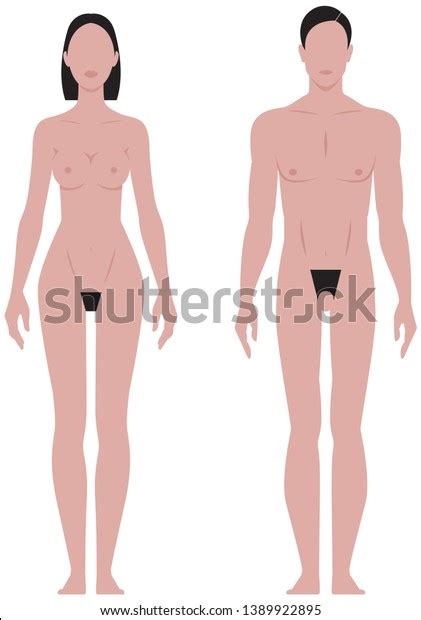 Stylized Illustration Nude Man Woman Full Stock Vector Royalty Free 1389922895 Shutterstock