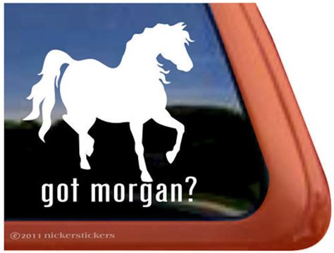 Got Morgan Dc443got High Quality Adhesive Vinyl Morgan Horse Window