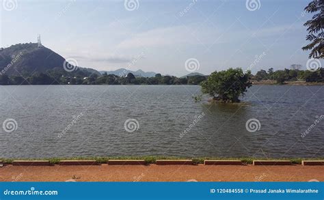 Kurunegala Lake In Sri Lanka Royalty Free Stock Image Cartoondealer