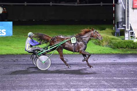 La Photo De L Arriv E Du Prix De Lodeve Course Pmu Du Dimanche