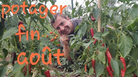 Potager Fin Aout Avec De Belles Reussites Youtube