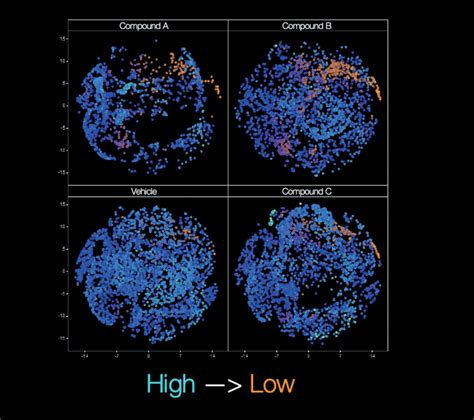 Image Based High Content Screening And Predictive Cell Based Assays For