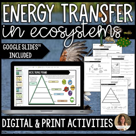 Energy Through An Ecosystem Worksheet As Pdf Worksheets Library