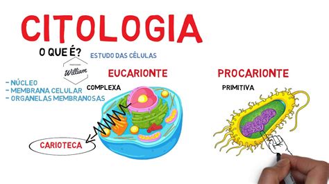 Qual A Import Ncia Da Citologia Librain