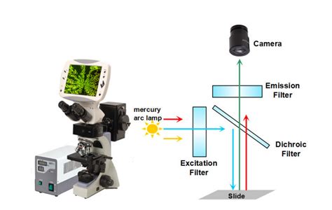 What Need To Be Cared When You Select Fluorescence Filters Optical