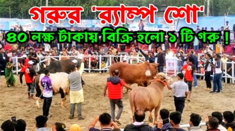 উত্তরবঙ্গ গরু মেলা পর্ব ০২ র‍্যাম্প শো ৪০ লাখ টাকায় বিক্রি হলো