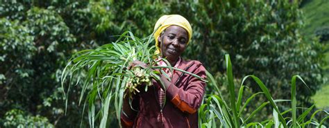 Leaving Women Behind Gender In Agriculture In Sub Saharan Africa