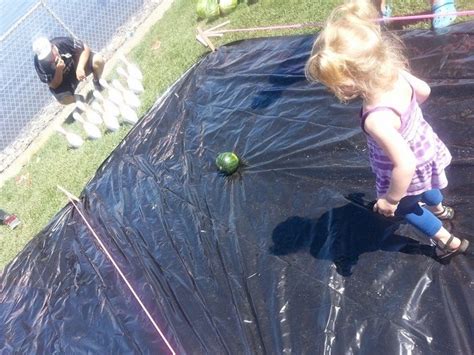 Hermiston, Oregon Transforms Into A Watermelon Wonderland Each Year