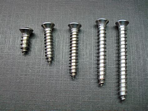 Pcs W Phillips Oval Head Stainless Trim Screws For Dodge