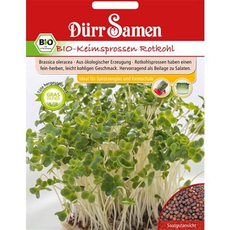 D Rr Samen Bio Keimsprossen Rotkohl Packung Bloomling Deutschland