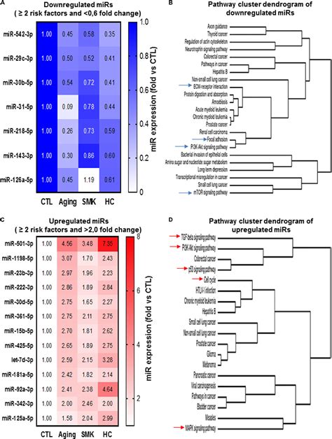 Frontiers Microrna Expression Profiling Of Bone Marrowderived