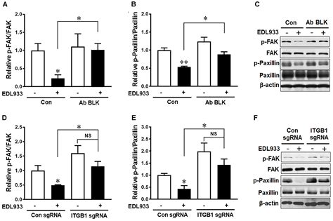 Frontiers Quercetin Prevents Escherichia Coli O157h7 Adhesion To