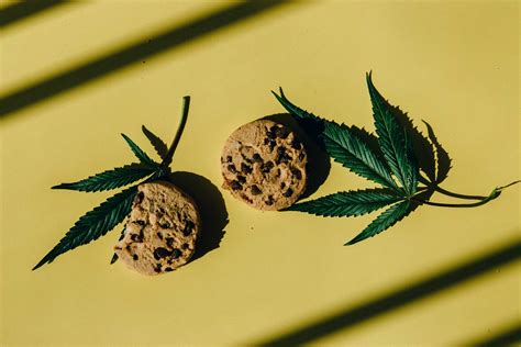 How to Take Cannabis Edibles: Ask a DC Budtender