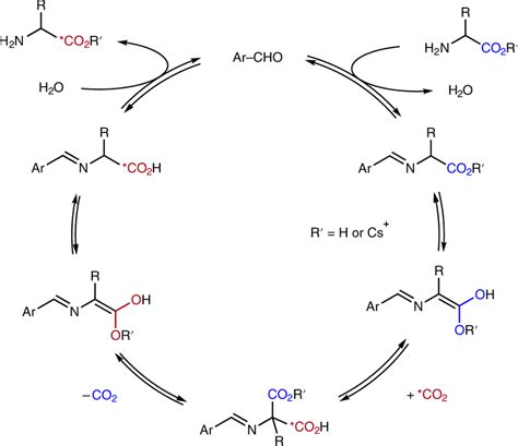 Simplified Potential Mechanism Of The Aldehyde Catalysed Isotopic