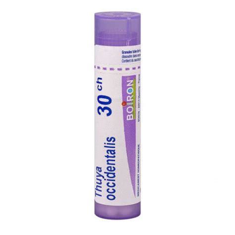 Thuya Occidentalis Boiron Ch Tube Granules Pharmacie En Ligne