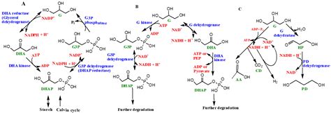 Catalysts Free Full Text The Role Of Glycerol And Its Derivatives