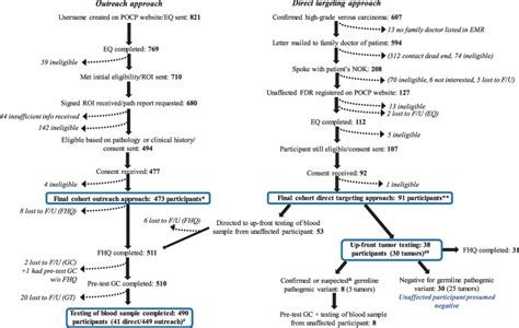 The Prevent Ovarian Cancer Program Pocp Identification Of Women At Risk For Ovarian Cancer