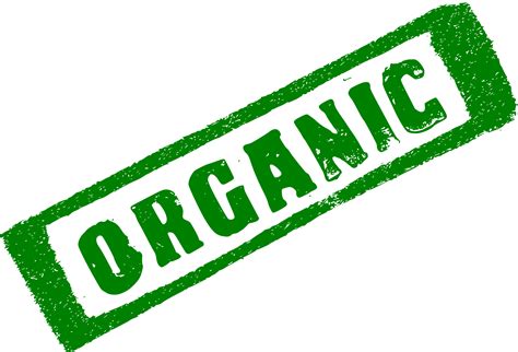 Organic Stamp (PNG Transparent) | OnlyGFX.com
