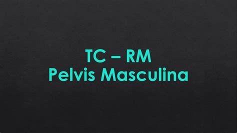 Resúmenes De Pelvis Masculina Descarga Apuntes De Pelvis Masculina