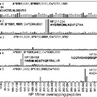 Mapping Immunodominant Np Epitopes The Same Iav Specific T Cell Lines