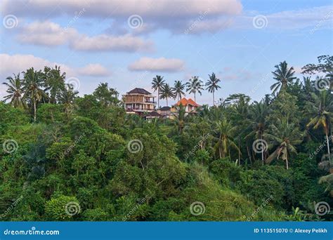 Beautiful Aerial View Of Ubud Jungle On Bali Island Stock Photo Image