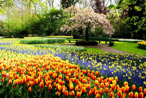 Spring Park Wallpapers Wallpaper Cave