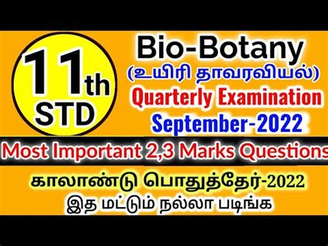 Th Std Quarterly Exam Bio Botany Ii Pure Science Botany