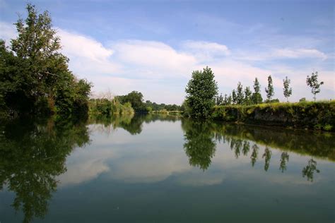 Free Images Landscape Tree Nature Grass Marsh Lake River