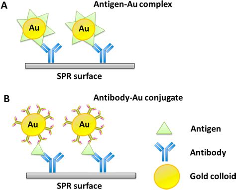 Sensors Free Full Text Surface Plasmon Resonance A Versatile Technique For Biosensor