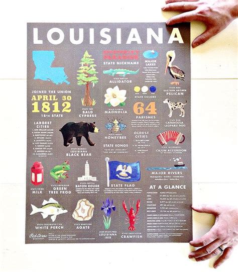 18 X 24 Inch Louisiana State Symbols Art Print Etsy In 2021 State