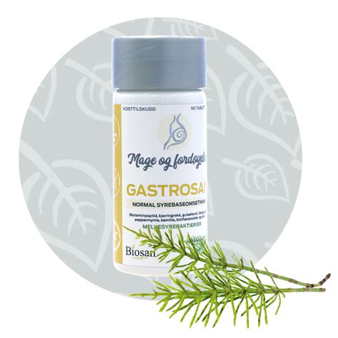 Gastrosan – mage og fordøyelse – Biosan